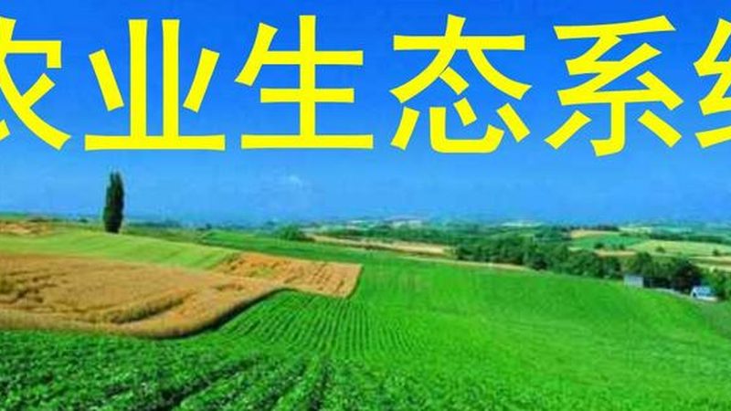 生鲜B2B配送平台入驻流程解析