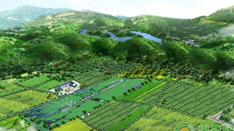 新疆水果种植降水量主要包括以下几种类型：