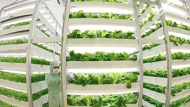 农业种植加盟十大品牌