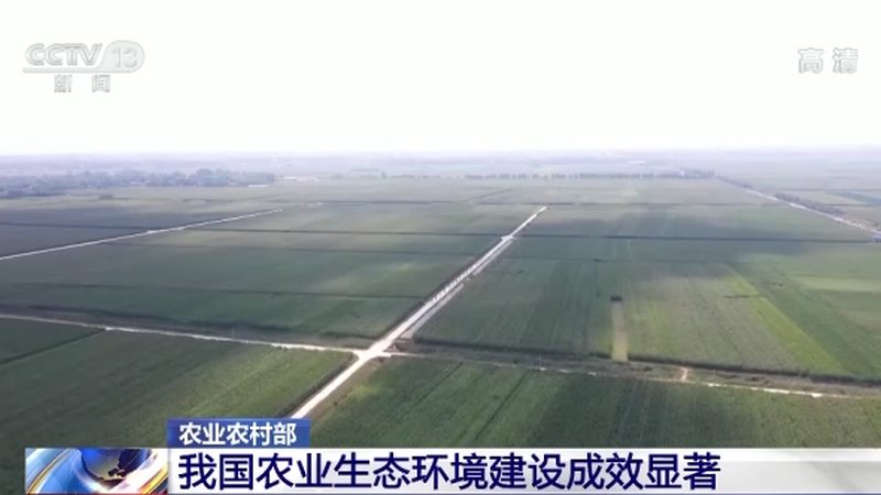 有机蔬菜家庭种植加盟，揭秘家庭农场主的绿色致富之路**