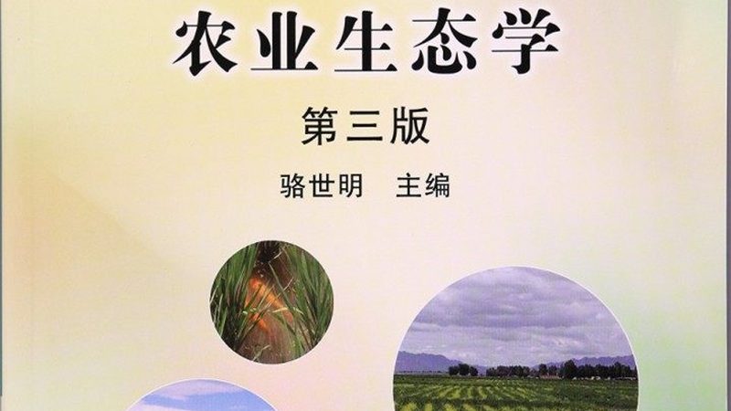 有机蔬菜与普通蔬菜：保存时长大揭秘