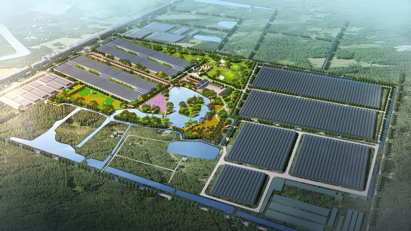 大棚农业种植技术报价