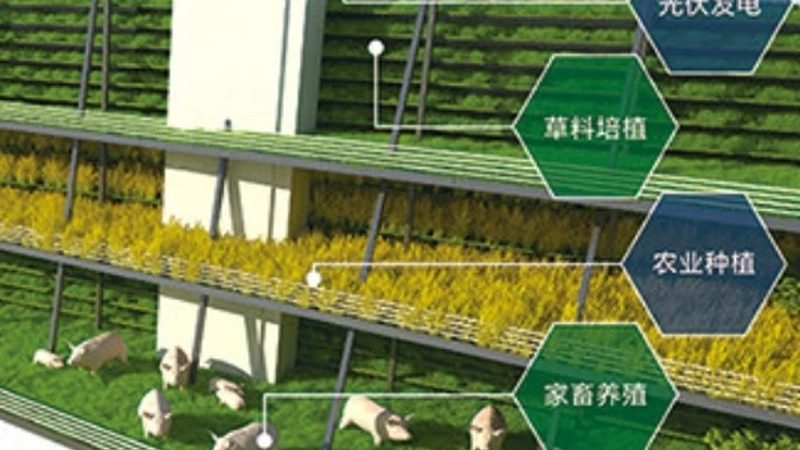 南方水果种植基地：新手创业的沃土选择**