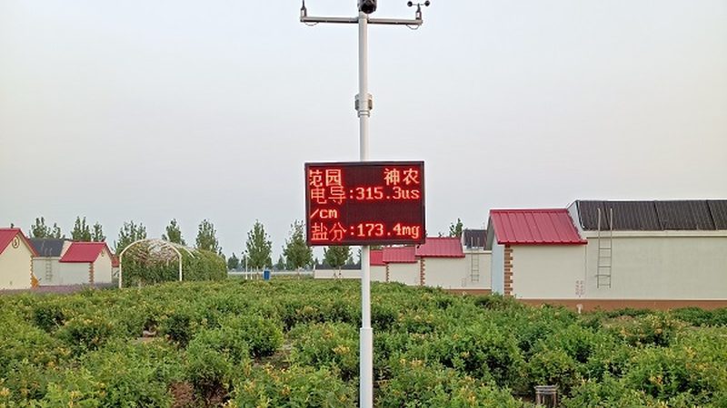 休闲农业景观设计方案：打造生态与经济效益双赢的田园风光