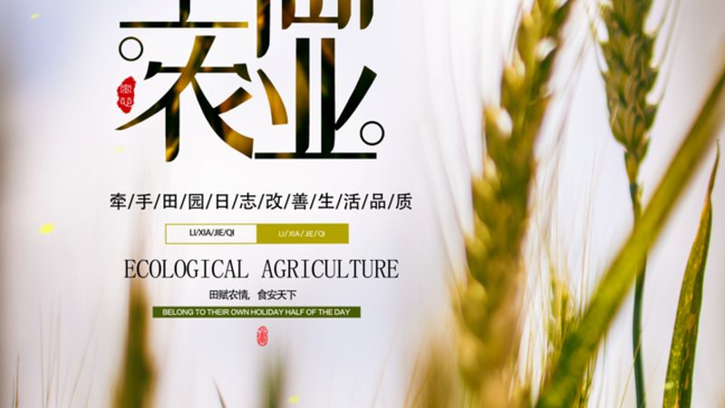 种植业保险如何投保？一亩保险费用解析**
